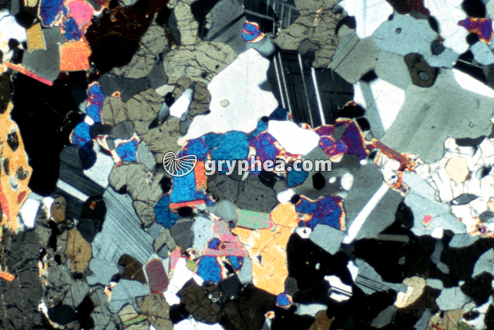 Granulite LPA x10 - gryphea.com